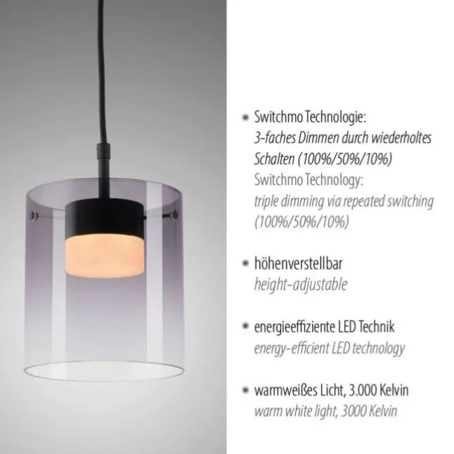 LED Pendelleuchte schwarz 1-flammig dimmbar in 3 Stufen Esszimmer