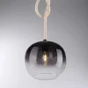 LED Pendelleuchte schwarz 1 flammig Seil beleuchtet höhenverstellbar