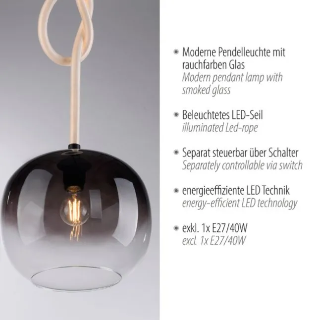 LED Pendelleuchte schwarz 1 flammig Seil beleuchtet höhenverstellbar