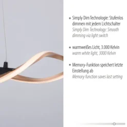 LED Pendelleuchte schwarz gold dimmbar höhenverstellbar geschwungen