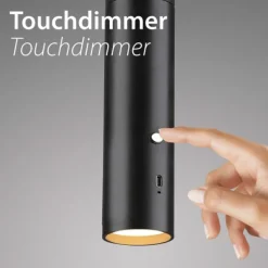 LED Pendelleuchte schwarz höhenverstellbar magnetischer Kopf Akku