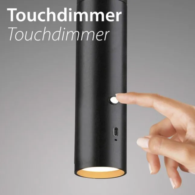 LED Pendelleuchte schwarz höhenverstellbar magnetischer Kopf Akku