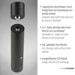 LED Pendelleuchte schwarz höhenverstellbar magnetischer Kopf Akku