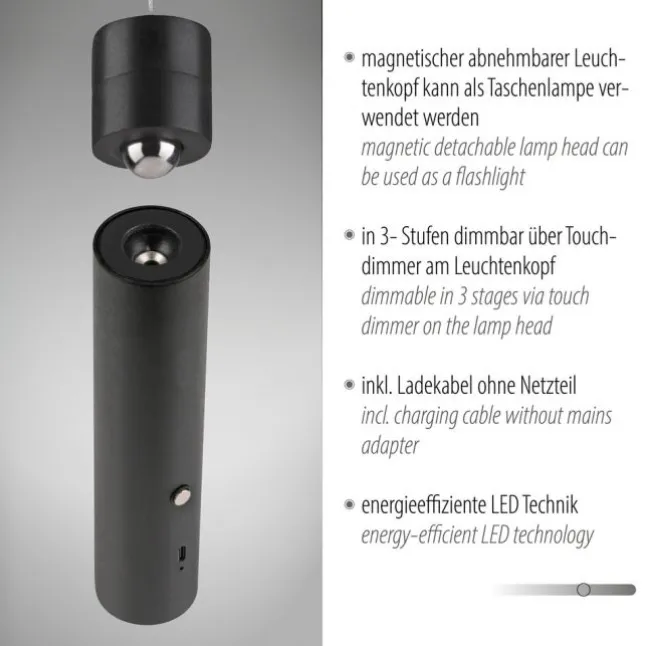 LED Pendelleuchte schwarz höhenverstellbar magnetischer Kopf Akku