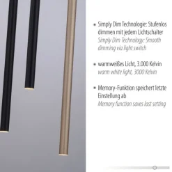 LED Pendelleuchte schwarz messing matt 10 flammig dimmbar Memoryfunktion