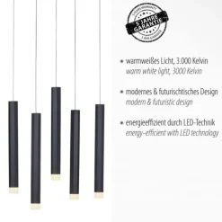 LED-Pendelleuchte, schwarz, warmweiß, IP20, Innenleuchte