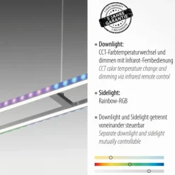 LED Pendelleuchte silberfarbig dimmbar Rainbow RGB Memorfunktion Esszimmer