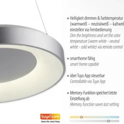 LED Pendelleuchte silber steuerbar über App dimmbar RGB+CCT