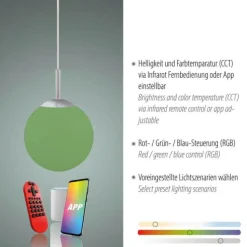 LED Pendelleuchte Smarthome D=20 silber dimmbar App Fernbedienung