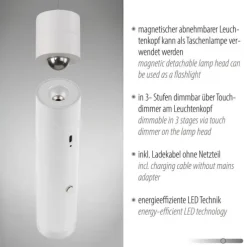 LED Pendelleuchte weiß höhenverstellbar magnetischer Kopf Akku