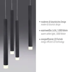 LED-Pendelleuchte, Wohnzimmer, schwarz, Innenleuchte, 10-flammig