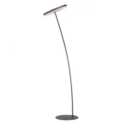 LED Stehlampe anthrazit farbig schwenkbar dimmbar Lichtring warmweiß Licht