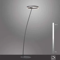LED Stehlampe anthrazit farbig schwenkbar dimmbar Lichtring warmweiß Licht