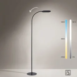 LED Stehleuchte, schwarz, CCT, dimmbar, Innenleuchte, IP20
