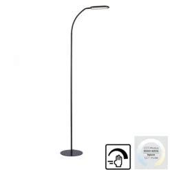 LED Stehleuchte, schwarz, CCT, dimmbar, Innenleuchte, IP20