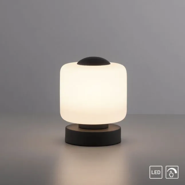 LED Tischleuchte anthrazit farbig rund Touchdimmer zeitloses Design
