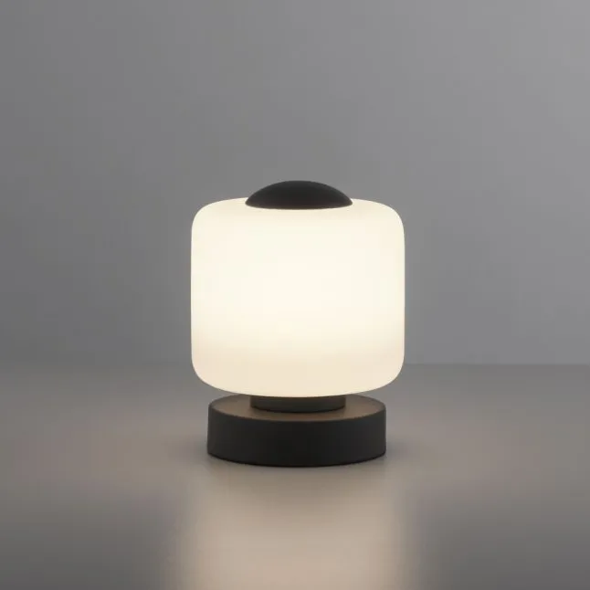 LED Tischleuchte anthrazit farbig rund Touchdimmer zeitloses Design