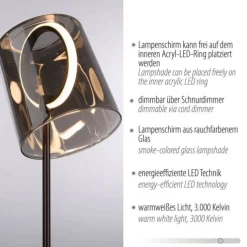 LED Tischleuchte Kaffee Farbe dimmbar per Schnurdimmer Rauchglas