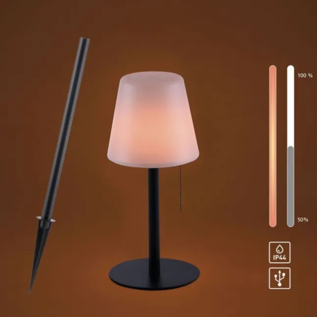 LED Tischleuchte, schwarz, dimmbar, modern, inkl. Zugschalter, kabellos