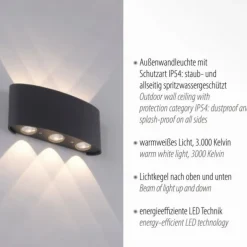 LED Wandlampe 6 flammig anthrazit farbig Außenlampe Innenlampe dekorativ
