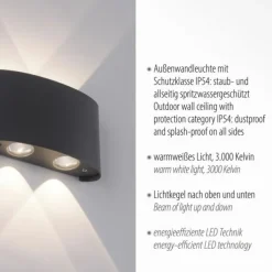 LED Wandlampe 4 flammig anthrazit farbig Außenlampe Innenlampe dekorativ