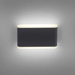 LED Wandleuchte, Außenwandleuchte, IP65, ELSA, anthrazit