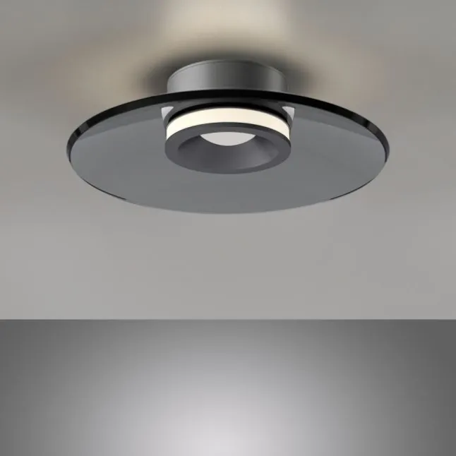 Paul Neuhaus Deckenleuchte PURE Moon platin (grau) dimmbar Wohnzimmer Küche