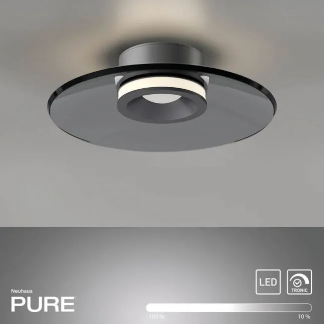 Paul Neuhaus Deckenleuchte PURE Moon platin (grau) dimmbar Wohnzimmer Küche