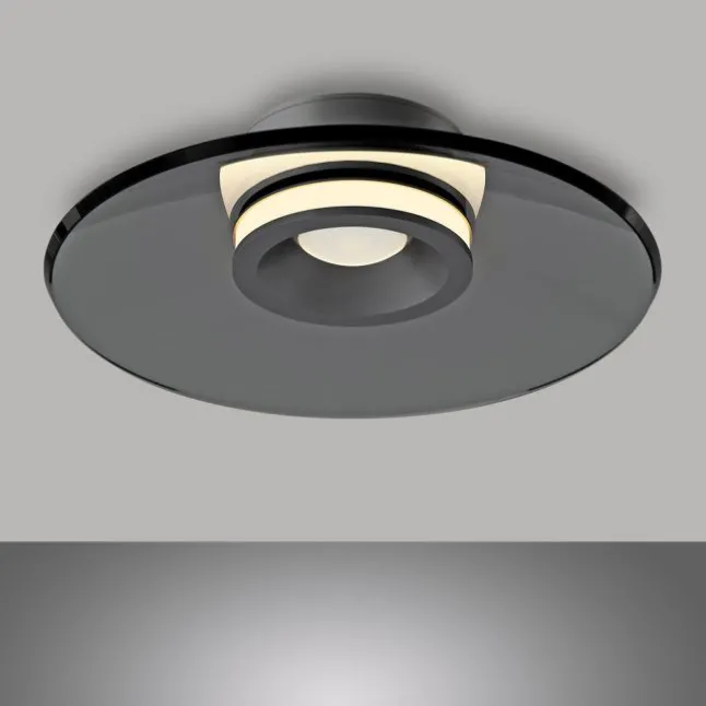 Paul Neuhaus Deckenleuchte PURE Moon platin (grau) dimmbar Wohnzimmer Küche