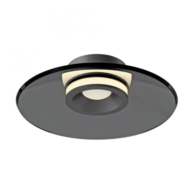 Paul Neuhaus Deckenleuchte PURE Moon platin (grau) dimmbar Wohnzimmer Küche