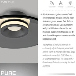 Paul Neuhaus Deckenleuchte PURE Moon platin (grau) dimmbar Wohnzimmer Küche