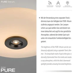 Paul Neuhaus Deckenleuchte PURE Vitrum dark-metal brown dimmbar