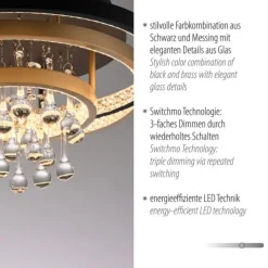 Paul Neuhaus Deckenleuchte schwarz messing Kristallanhänger dimmbar