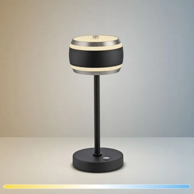 Paul Neuhaus LED Akku-Tischleuchte PURE Falling Rings,black pearl/diamond , Touch