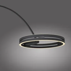 Paul Neuhaus LED Bogenlampe PURE Loop-Bow, black pearl, Stehleuchte, dimmbar