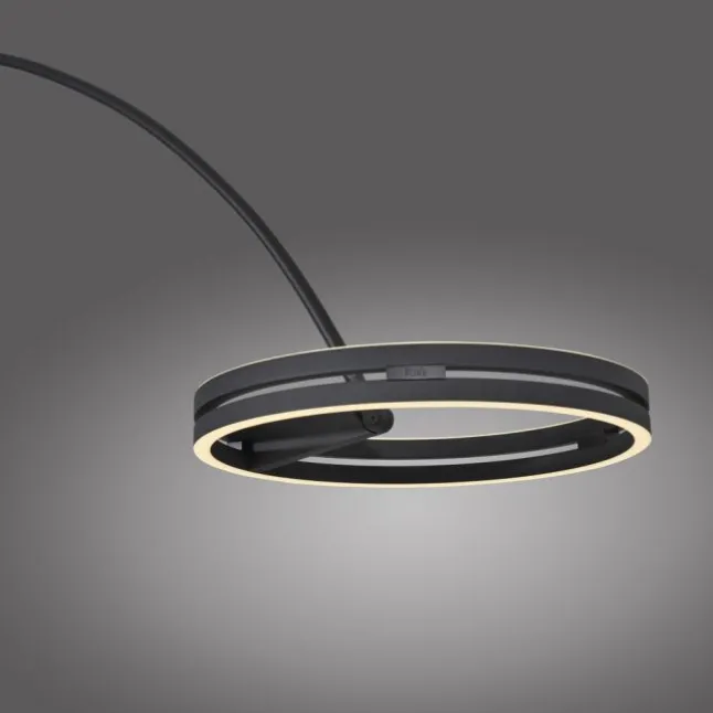 Paul Neuhaus LED Bogenlampe PURE Loop-Bow, black pearl, Stehleuchte, dimmbar