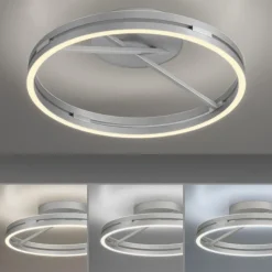Paul Neuhaus LED Deckenleuchte PURE Loop stone (alu) Fernbedienung