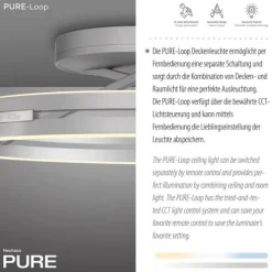 Paul Neuhaus LED Deckenleuchte PURE Loop stone (alu) Fernbedienung