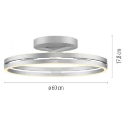 Paul Neuhaus LED Deckenleuchte PURE Loop stone (alu) Fernbedienung