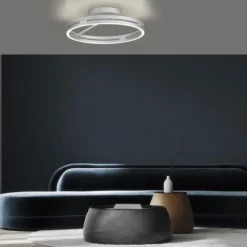 Paul Neuhaus LED Deckenleuchte PURE Loop stone (alu) Fernbedienung