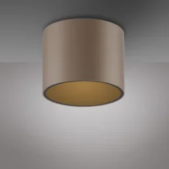 Paul Neuhaus LED Deckenleuchte PURE Point, bronce, Indoor, dimmbar