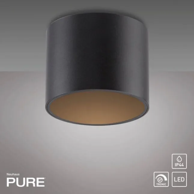 Paul Neuhaus LED Deckenleuchte PURE Point, black pearl, Indoor, dimmbar