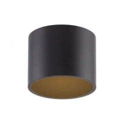 Paul Neuhaus LED Deckenleuchte PURE Point, black pearl, Indoor, dimmbar