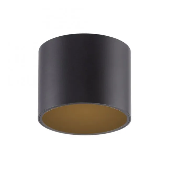 Paul Neuhaus LED Deckenleuchte PURE Point, black pearl, Indoor, dimmbar