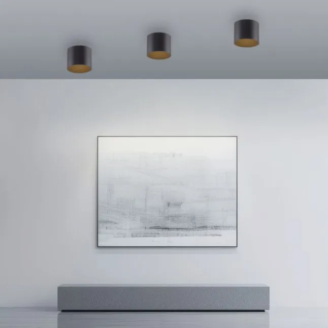 Paul Neuhaus LED Deckenleuchte PURE Point, black pearl, Indoor, dimmbar
