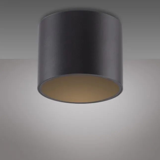 Paul Neuhaus LED Deckenleuchte PURE Point, black pearl, Indoor, dimmbar