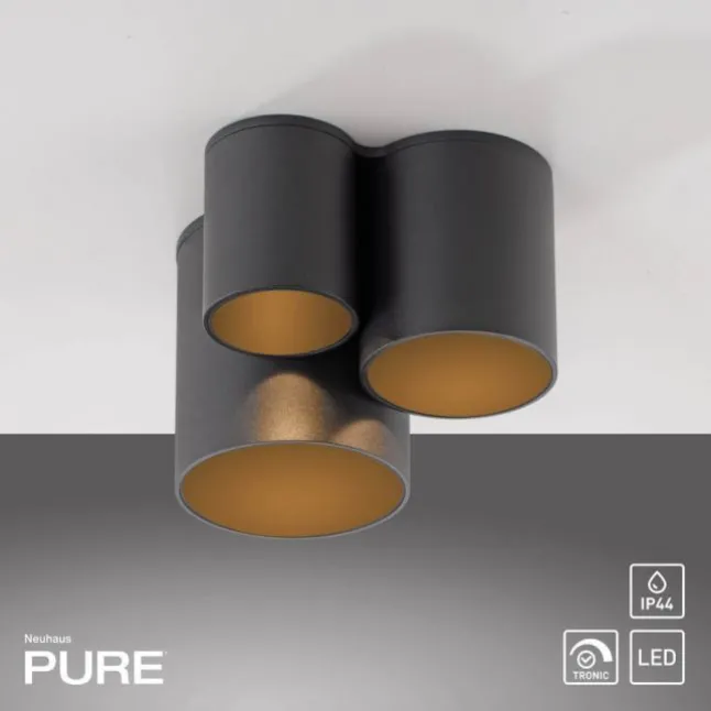 Paul Neuhaus LED Deckenleuchte PURE Point, black pearl, Indoor, dimmbar