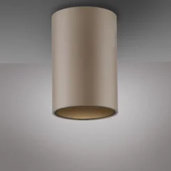 Paul Neuhaus LED Deckenleuchte PURE Point, bronce, Indoor, dimmbar