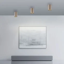 Paul Neuhaus LED Deckenleuchte PURE Point, bronce, Indoor, dimmbar