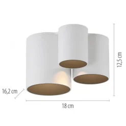 Paul Neuhaus LED Deckenleuchte PURE Point, snow, Indoor, dimmbar